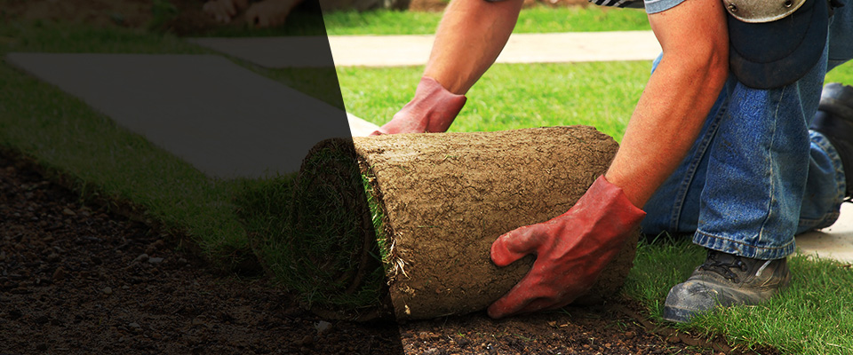 Browerville Landscapers